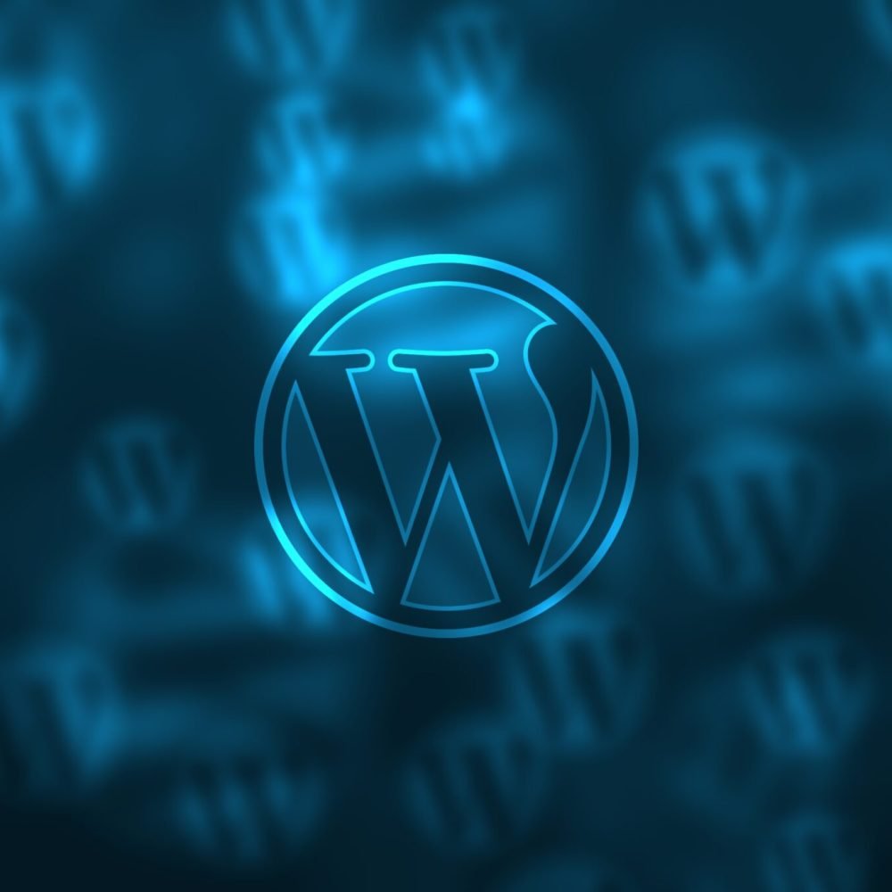 Expert WordPress software development services for robust websites
